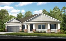 Ardisia Park: New Smyrna Beach, Florida - Taylor Morrison