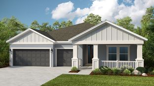 Java - The Waters at Center Lake Ranch: Saint Cloud, Florida - Taylor Morrison