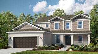 Sand Key - Ardisia Park: New Smyrna Beach, Florida - Taylor Morrison