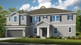 Tradewinds - Ardisia Park: New Smyrna Beach, Florida - Taylor Morrison