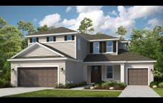 Ardisia Park: New Smyrna Beach, Florida - Taylor Morrison