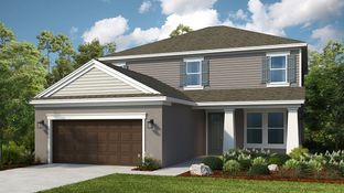 Bahama - Central Park: Port St Lucie, Florida - Taylor Morrison