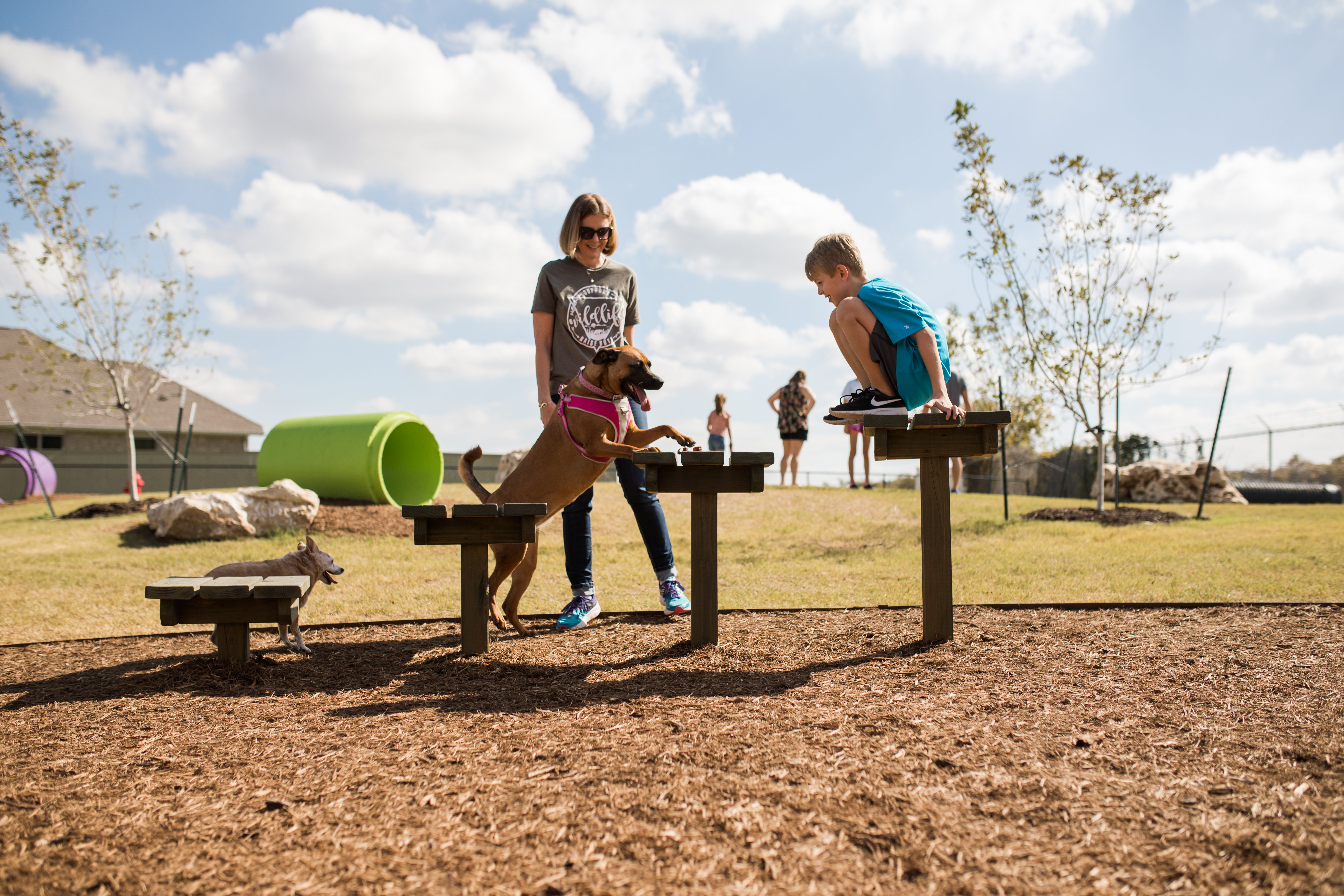 SR Bark Park  Petting Zoo68