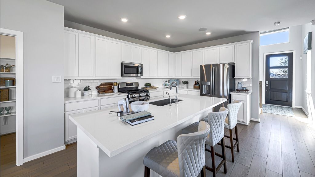 23-TM Model Int-17330 Aster Falls Ct-20231206