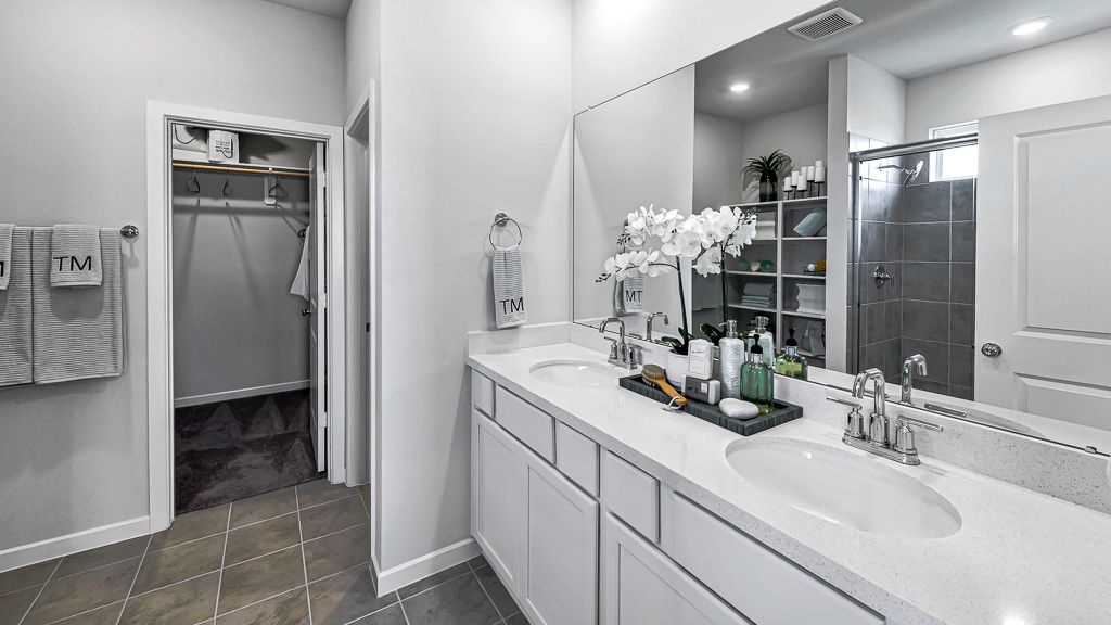 66-TM Model Int-17330 Aster Falls Ct-20231206