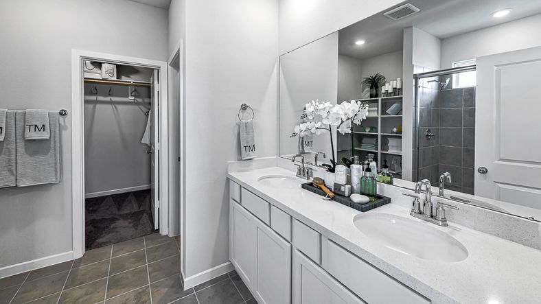 66-TM Model Int-17330 Aster Falls Ct-20231206