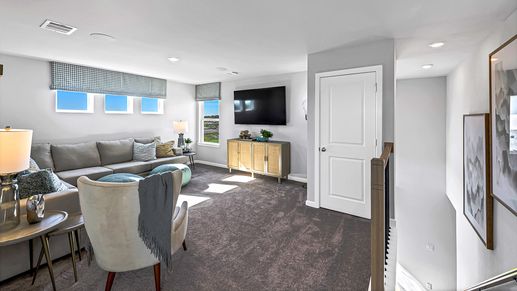 74-TM Model Int-17330 Aster Falls Ct-20231206