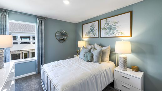 88-TM Model Int-17330 Aster Falls Ct-20231206
