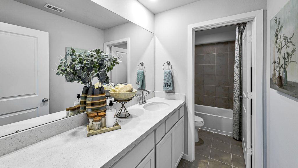 91-TM Model Int-17330 Aster Falls Ct-20231206
