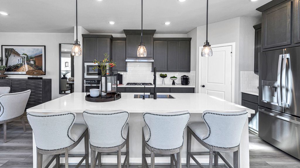 29-TM-Model 17402 Aster Falls Ct-20231206