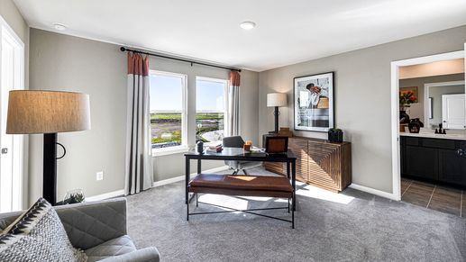 101-TM-Model 17402 Aster Falls Ct-20231206