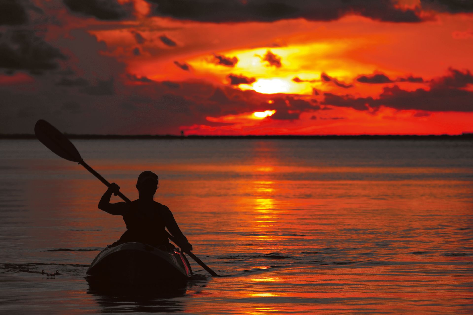 Bayside Kayak Photo