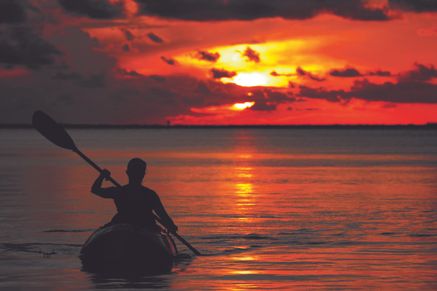 Bayside Kayak Photo