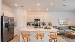 The Towns at Firethorn - Parrish, FL