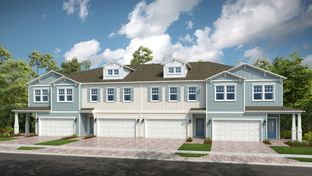 Laurel - Cherry Elm at SilverLeaf: St Augustine, Florida - Taylor Morrison