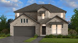 Carmine - South Oak 50s: Oak Point, Texas - Taylor Morrison