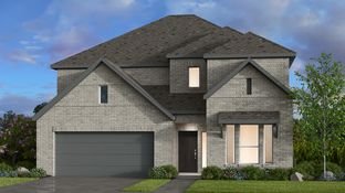 Saffron - Cross Creek Meadows 55s: Celina, Texas - Taylor Morrison