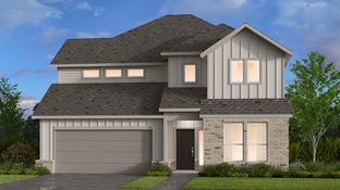 Saffron - South Oak 50s: Oak Point, Texas - Taylor Morrison