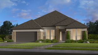 Jade - Avalon at Friendswood 60s: Friendswood, Texas - Taylor Morrison