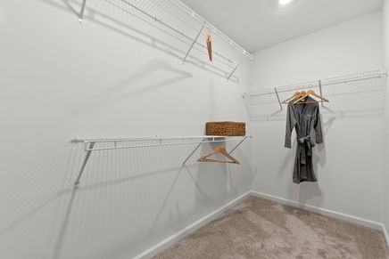 12-web-or-mls-12