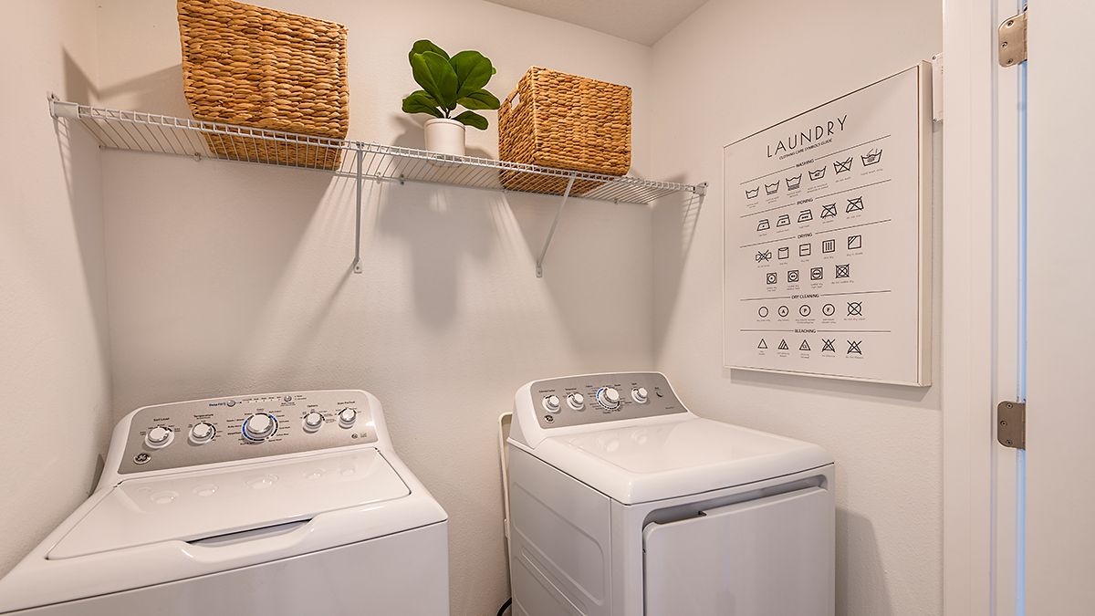 Marion-Creek-Maple-daytime-3828-1200x675