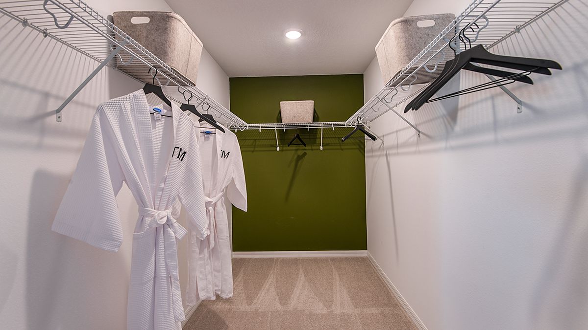 Marion-Creek-Maple-daytime-3848-1200x675