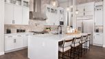 Verdin Capstone Collection - Phoenix, AZ