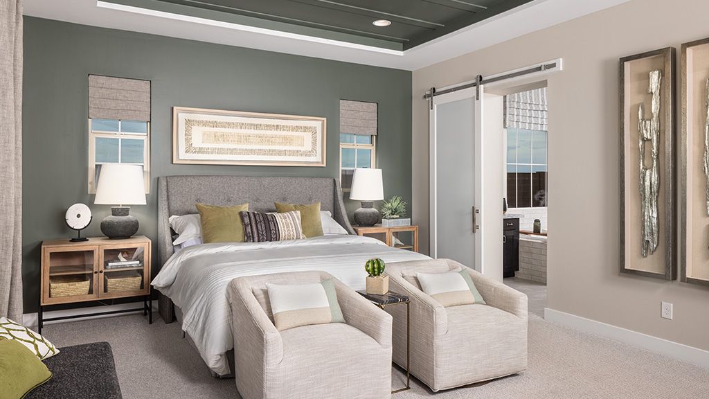 TelluridePrimarySuite