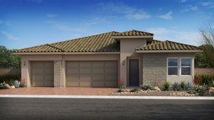 Violet - Marbella at Lake Las Vegas: Henderson, Nevada - Taylor Morrison