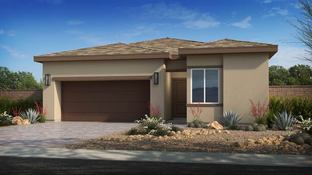 Daffodil - Ovation at Mountain Falls 55+: Pahrump, Nevada - Taylor Morrison