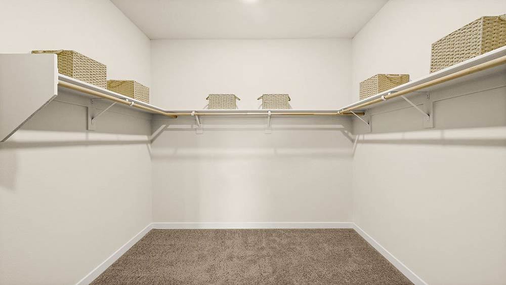 16-web-or-mls-Daffodil-16