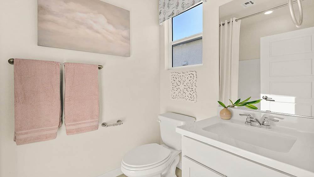 19-web-or-mls-Daffodil-19