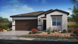 Foxglove - Ovation at Mountain Falls 55+: Pahrump, Nevada - Taylor Morrison