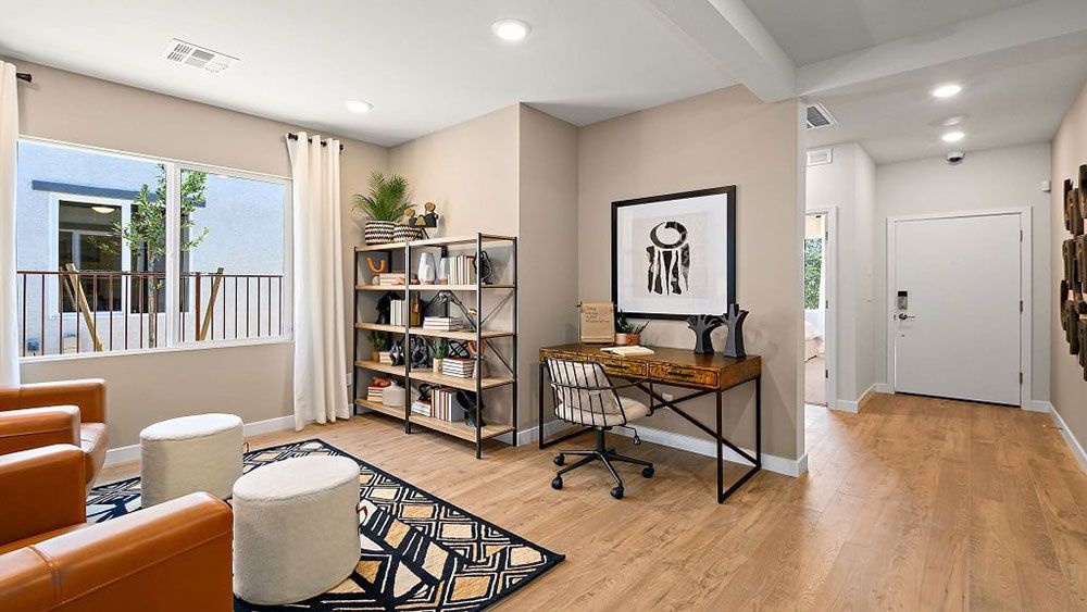 20-web-or-mls-Hibiscus-20