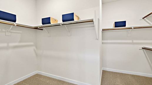 15-web-or-mls-Marigold-15