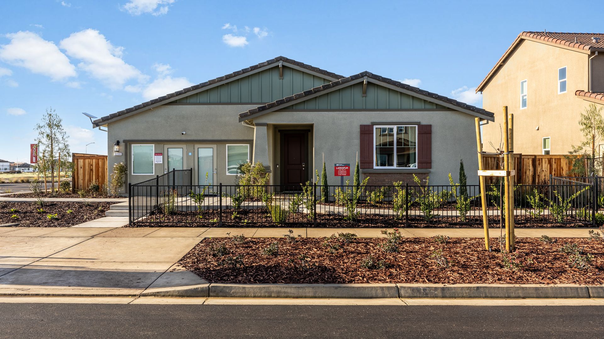 100 Larkspur