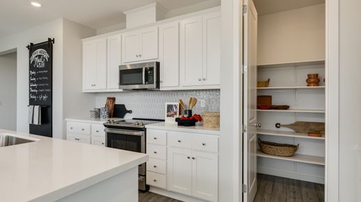 113 Larkspur