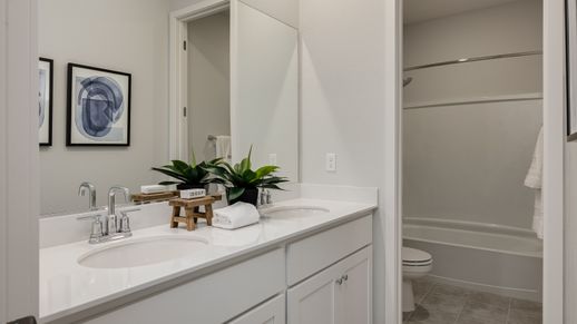 129 Larkspur