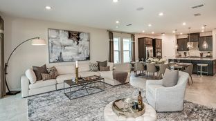 Bermuda - Cassia at Skye Ranch: Sarasota, Florida - Taylor Morrison