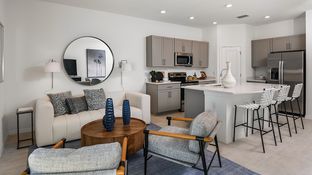 Jasmine - Vinterra Townhomes: Nokomis, Florida - Taylor Morrison