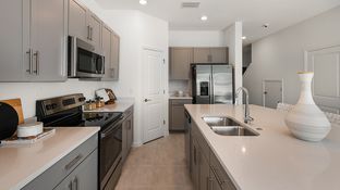 Jasmine - Vinterra Townhomes: Nokomis, Florida - Taylor Morrison