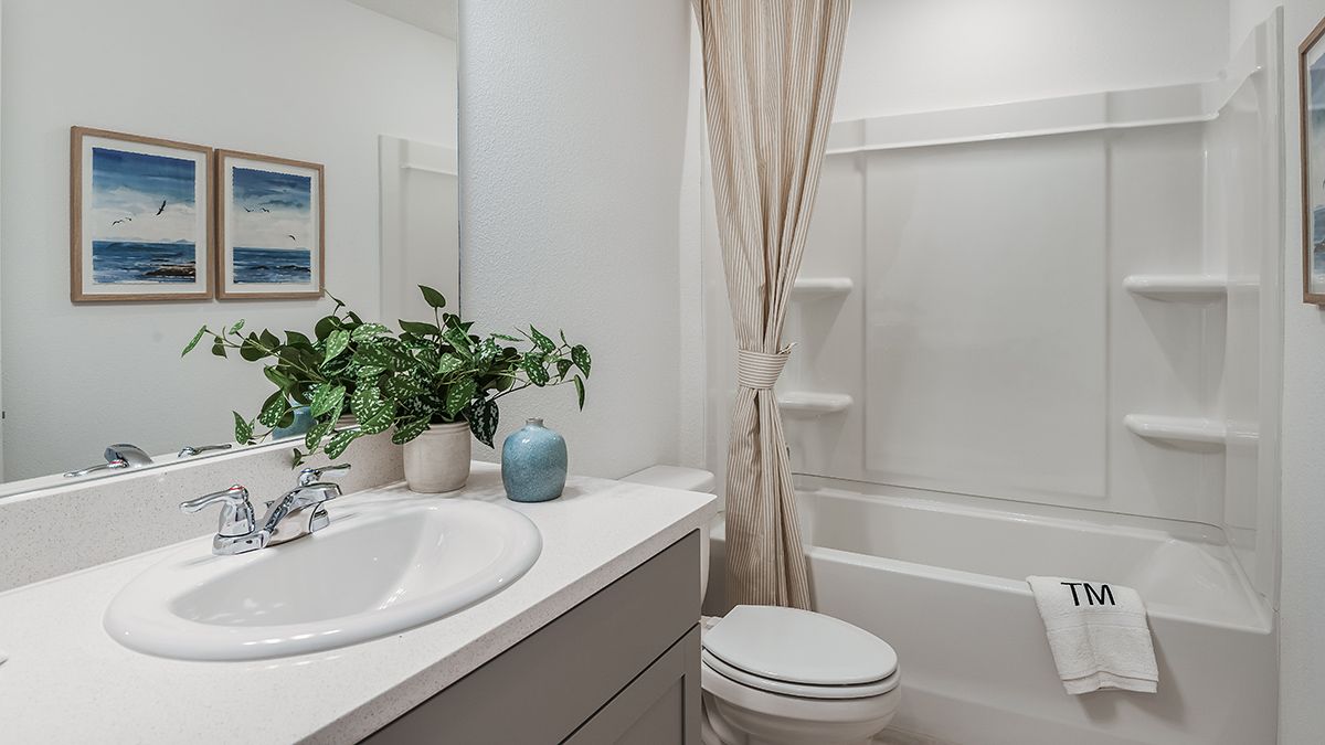 Jasmine Model - Bathroom 2