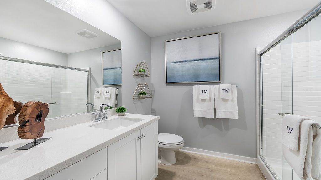 resized-Radius-Plan 1A-Primary Bath-CMF Photo