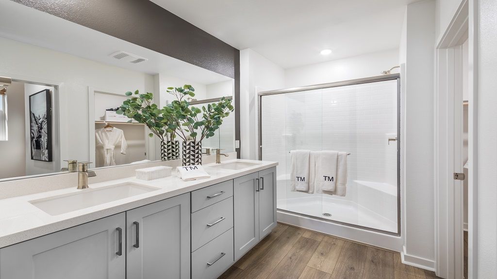 resized-Radius-Plan 2A-Primary Bath-CMF Photo