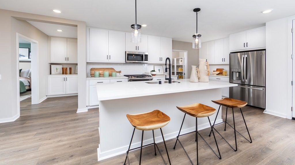resized-Radius-Plan 5D-Kitchen-CMF Photo