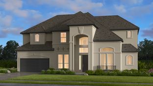 Arabella - Travisso Naples Collection: Leander, Texas - Taylor Morrison