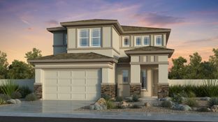 Holly - Aloravita South Discovery Collection: Peoria, Arizona - Taylor Morrison