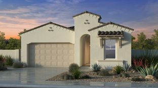 Iris - Aloravita South Discovery Collection: Peoria, Arizona - Taylor Morrison