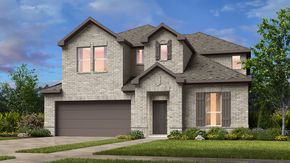 Nolina 50s - Georgetown, TX