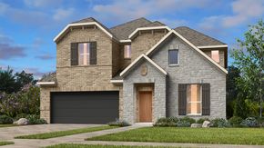 Nolina 50s - Georgetown, TX
